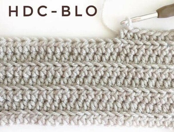 Complete Guide on half double crochet back loop